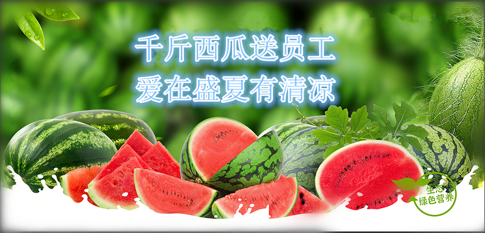 通達軟件公司： 千斤西瓜送員工，愛在盛夏有清涼